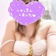 ヒメ日記 2025/11/29 10:15 投稿 長谷川礼奈 プルデリR40