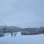 ヒメ日記 2024/12/29 08:02 投稿 椎名 HERMINE-エルミネ-