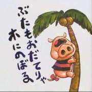 ヒメ日記 2025/04/11 19:37 投稿 椎名 HERMINE-エルミネ-