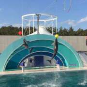 ヒメ日記 2025/05/04 15:46 投稿 椎名 HERMINE-エルミネ-