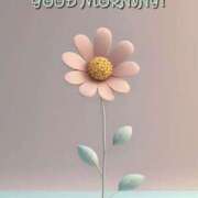 ヒメ日記 2025/05/13 08:25 投稿 椎名 HERMINE-エルミネ-