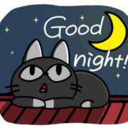 ヒメ日記 2025/05/29 03:59 投稿 椎名 HERMINE-エルミネ-