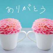 ヒメ日記 2025/06/14 14:23 投稿 椎名 HERMINE-エルミネ-