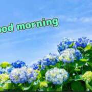 ヒメ日記 2025/07/03 10:04 投稿 椎名 HERMINE-エルミネ-