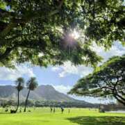 ヒメ日記 2025/07/04 08:03 投稿 椎名 HERMINE-エルミネ-