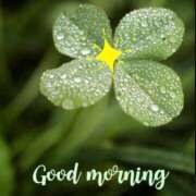 ヒメ日記 2025/07/11 07:41 投稿 椎名 HERMINE-エルミネ-