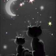 ヒメ日記 2025/08/08 01:32 投稿 椎名 HERMINE-エルミネ-