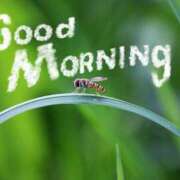 ヒメ日記 2025/08/20 08:04 投稿 椎名 HERMINE-エルミネ-