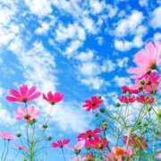 ヒメ日記 2025/10/28 07:50 投稿 椎名 HERMINE-エルミネ-