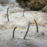 ヒメ日記 2025/11/11 07:31 投稿 椎名 HERMINE-エルミネ-