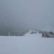 ヒメ日記 2026/01/02 22:42 投稿 椎名 HERMINE-エルミネ-