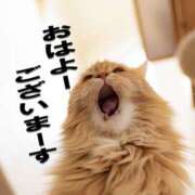 ヒメ日記 2026/01/20 07:25 投稿 椎名 HERMINE-エルミネ-