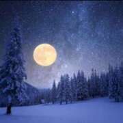 ヒメ日記 2026/01/21 20:51 投稿 椎名 HERMINE-エルミネ-