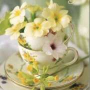 ヒメ日記 2026/01/29 07:42 投稿 椎名 HERMINE-エルミネ-