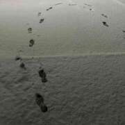 ヒメ日記 2026/02/08 06:11 投稿 椎名 HERMINE-エルミネ-