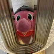 ヒメ日記 2026/04/22 22:08 投稿 椎名 HERMINE-エルミネ-