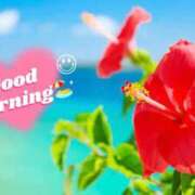 ヒメ日記 2026/08/04 08:43 投稿 椎名 HERMINE-エルミネ-