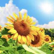 ヒメ日記 2026/08/21 12:01 投稿 椎名 HERMINE-エルミネ-