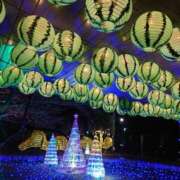 ヒメ日記 2024/12/17 17:17 投稿 なつ 成田人妻最高級倶楽部