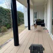 ヒメ日記 2024/12/25 17:53 投稿 体験新人れん 成田人妻最高級倶楽部