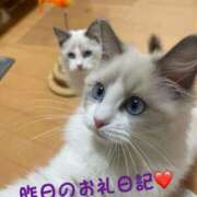 ヒメ日記 2025/01/17 23:17 投稿 体験新人れん 成田人妻最高級倶楽部