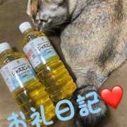 ヒメ日記 2025/01/24 22:54 投稿 体験新人れん 成田人妻最高級倶楽部