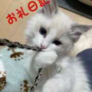 ヒメ日記 2025/03/04 21:16 投稿 体験新人れん 成田人妻最高級倶楽部