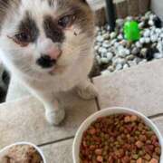 ヒメ日記 2025/03/16 15:35 投稿 体験新人れん 成田人妻最高級倶楽部