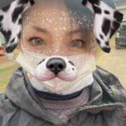 ヒメ日記 2025/04/11 14:26 投稿 体験新人れん 成田人妻最高級倶楽部