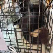 ヒメ日記 2025/05/01 16:11 投稿 体験新人れん 成田人妻最高級倶楽部