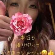 ヒメ日記 2025/05/11 04:01 投稿 体験新人れん 成田人妻最高級倶楽部