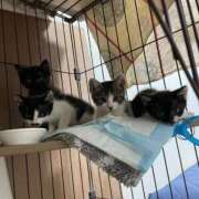 ヒメ日記 2025/07/16 13:07 投稿 体験新人れん 成田人妻最高級倶楽部