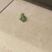 ヒメ日記 2025/09/10 00:02 投稿 体験新人れん 成田人妻最高級倶楽部