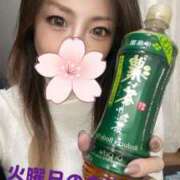 ヒメ日記 2025/09/27 09:45 投稿 体験新人れん 成田人妻最高級倶楽部