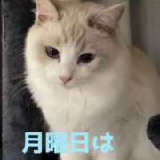 ヒメ日記 2025/10/24 00:26 投稿 体験新人れん 成田人妻最高級倶楽部