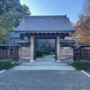 ヒメ日記 2025/12/08 23:05 投稿 体験新人れん 成田人妻最高級倶楽部