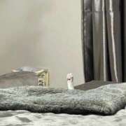 体験新人れん は〜い🖐️ 成田人妻最高級倶楽部