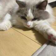 ヒメ日記 2026/01/03 03:05 投稿 体験新人れん 成田人妻最高級倶楽部