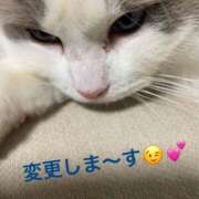 ヒメ日記 2026/01/13 20:00 投稿 体験新人れん 成田人妻最高級倶楽部