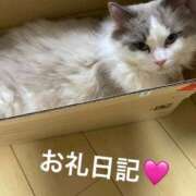 ヒメ日記 2026/01/30 00:31 投稿 体験新人れん 成田人妻最高級倶楽部