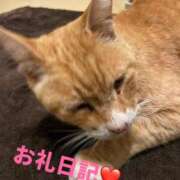 ヒメ日記 2026/01/31 01:33 投稿 体験新人れん 成田人妻最高級倶楽部