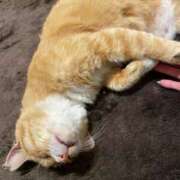 ヒメ日記 2026/01/31 01:48 投稿 体験新人れん 成田人妻最高級倶楽部