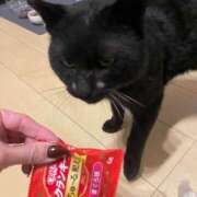 ヒメ日記 2026/02/14 10:38 投稿 体験新人れん 成田人妻最高級倶楽部