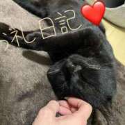 体験新人れん お礼日記❤️ 成田人妻最高級倶楽部