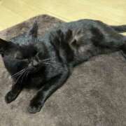 体験新人れん 明日は❣️ 成田人妻最高級倶楽部