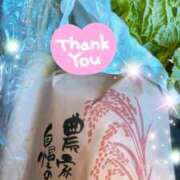 ヒメ日記 2024/12/08 06:23 投稿 体験新人あん 成田人妻最高級倶楽部