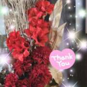 ヒメ日記 2024/12/28 06:31 投稿 体験新人あん 成田人妻最高級倶楽部