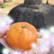 ヒメ日記 2025/01/01 15:06 投稿 体験新人あん 成田人妻最高級倶楽部