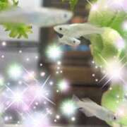 ヒメ日記 2025/01/27 10:19 投稿 体験新人あん 成田人妻最高級倶楽部