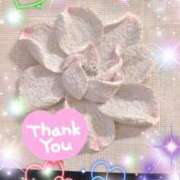 ヒメ日記 2025/02/09 06:34 投稿 体験新人あん 成田人妻最高級倶楽部